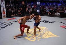 格(gé)斗迷开啓(qǐ)專(zhuān)业售票新篇章，助(zhù)力赛事(shì)方拓展(zhǎn)线下观赛市場(chǎng)！