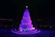 幻紫圣诞 · 奇境(jìng)飞驰