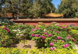 常州旅遊(yóu)攻(gōng)略(lüè)：如何提前(qián)購(gòu)买景点门票，告別(bié)排队煩(fán)惱(nǎo)，畅玩龍(lóng)城