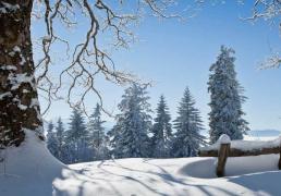 電(diàn)竞入选亚运會(huì)正式项目(mù)推动认可