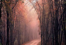 英超(chāo)焦點(diǎn)战：阿森纳战平利(lì)物浦