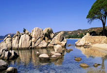 王者荣耀比赛！快来报名(míng)！奖品多多！