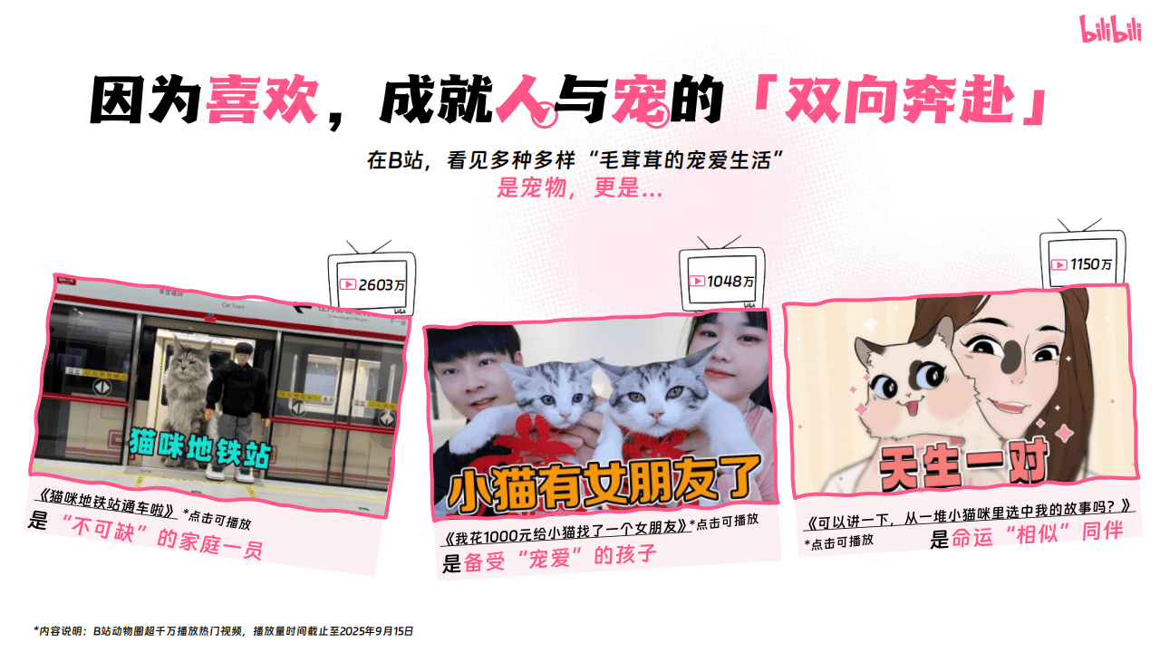 嗶(bì)哩(lī)嗶(bì)哩(lī)運(yùn)营:嗶(bì)哩(lī)嗶(bì)哩(lī)2025年(nián)宠物行(xíng)业营销通案