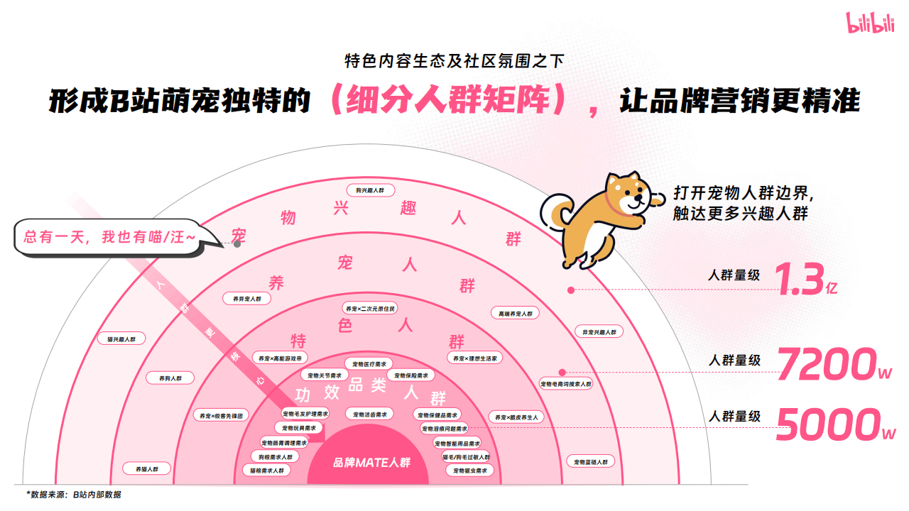 嗶(bì)哩(lī)嗶(bì)哩(lī)運(yùn)营:嗶(bì)哩(lī)嗶(bì)哩(lī)2025年(nián)宠物行(xíng)业营销通案