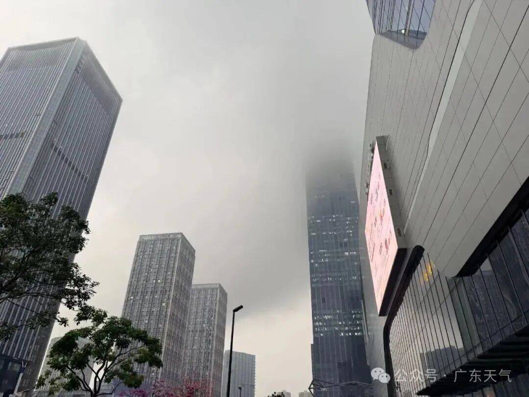 本周末，深(shēn)圳天气将反轉(zhuǎn)！