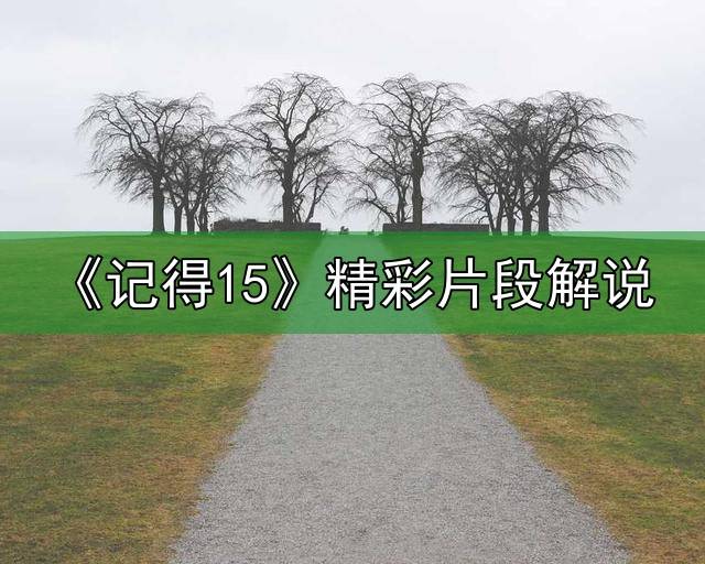 《记得15》精彩片段解说