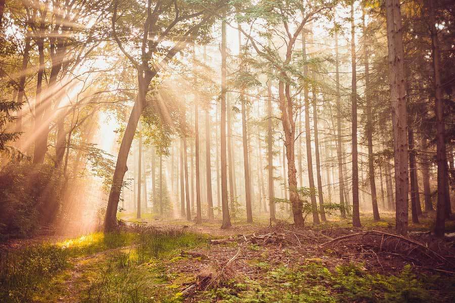 体育联赛引入科(kē)技裁判(pàn)提(tí)升比赛公平性