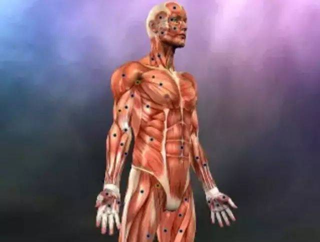 针刀操作技巧 初学者必看